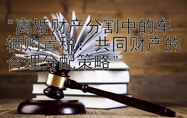 离婚财产分割中的车辆购置税：共同财产的合理分配策略