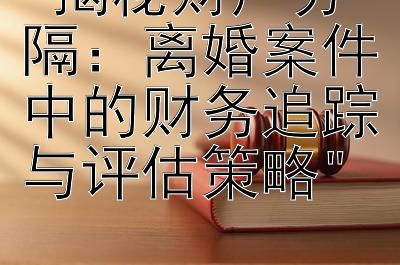 揭秘财产分隔：离婚案件中的财务追踪与评估策略