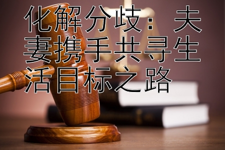 化解分歧：夫妻携手共寻生活目标之路