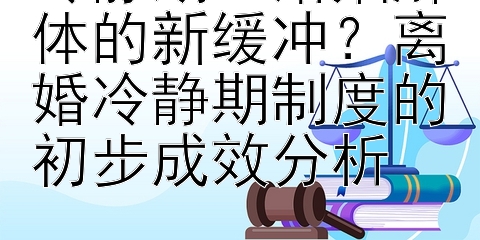 冷静期：婚姻解体的新缓冲？离婚冷静期制度的初步成效分析