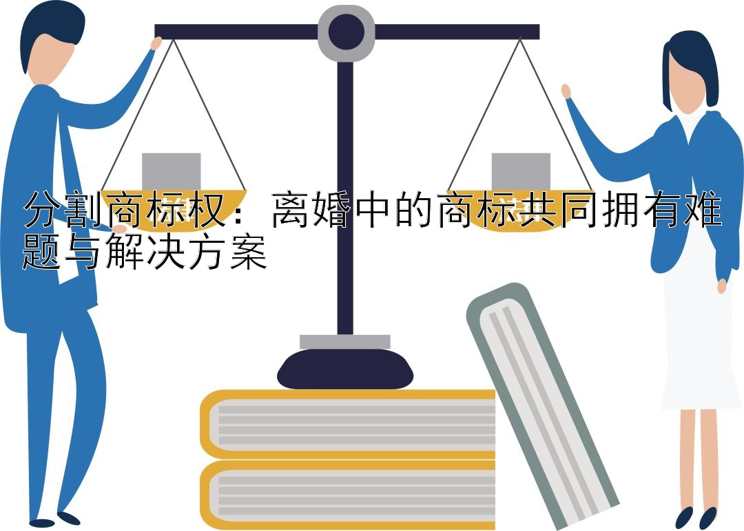 分割商标权：离婚中的商标共同拥有难题与解决方案