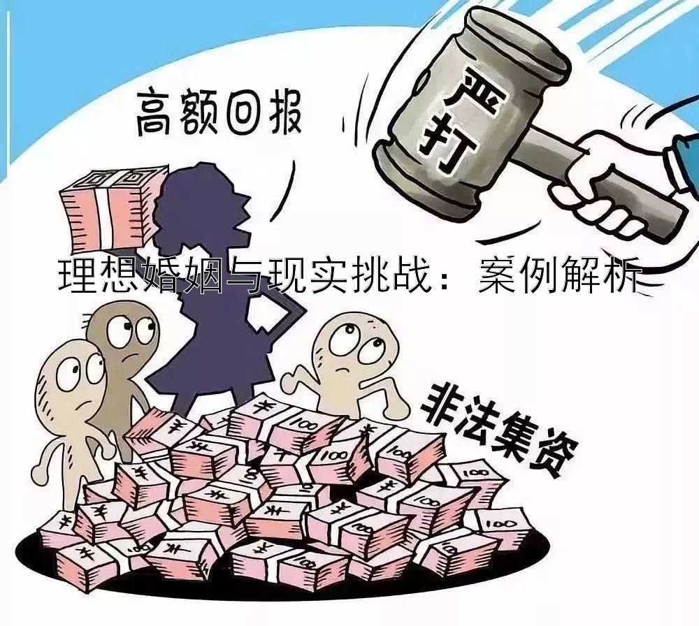 理想婚姻与现实挑战：案例解析