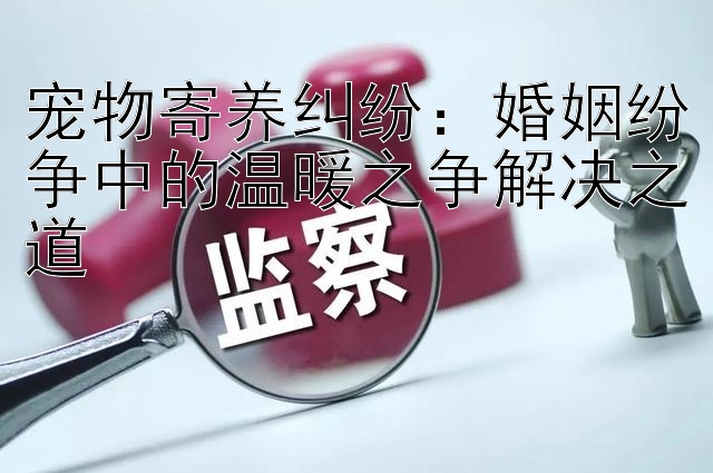 宠物寄养纠纷：婚姻纷争中的温暖之争解决之道