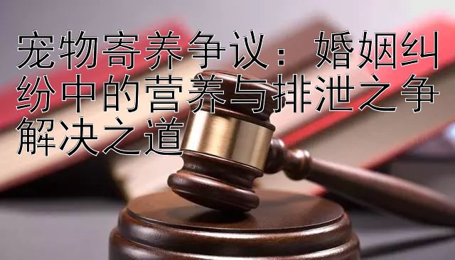 宠物寄养争议：婚姻纠纷中的营养与排泄之争解决之道