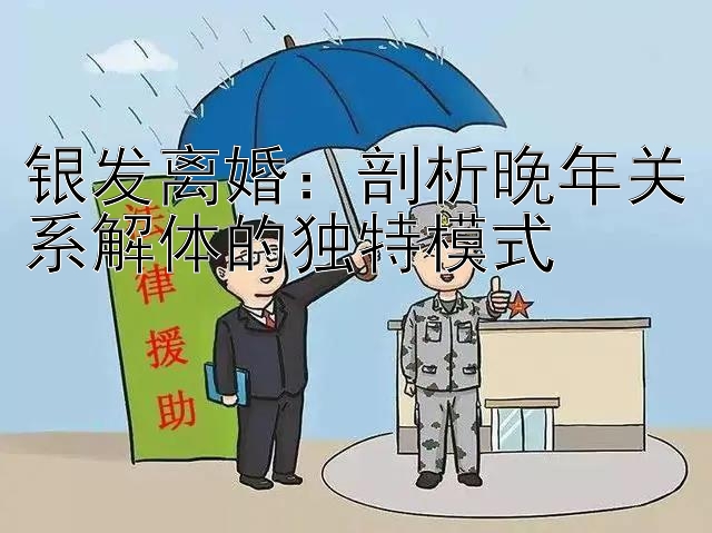 银发离婚：剖析晚年关系解体的独特模式