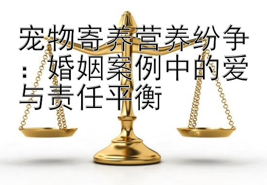 宠物寄养营养纷争：婚姻案例中的爱与责任平衡