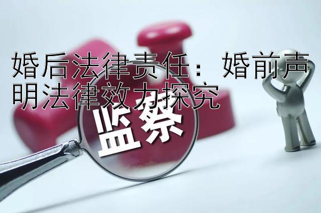 婚后法律责任：婚前声明法律效力探究