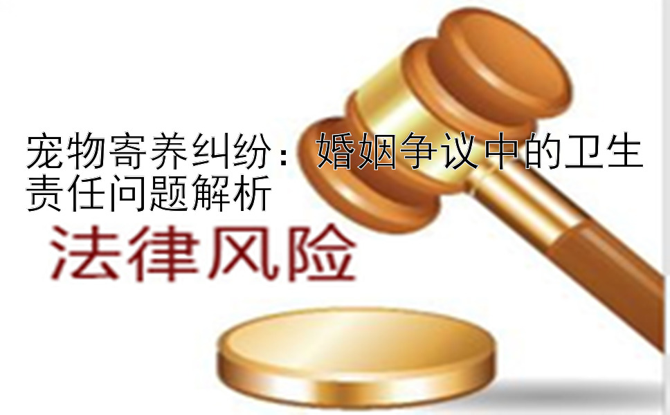 宠物寄养纠纷：婚姻争议中的卫生责任问题解析