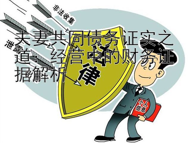 夫妻共同债务证实之道：经营中的财务证据解析