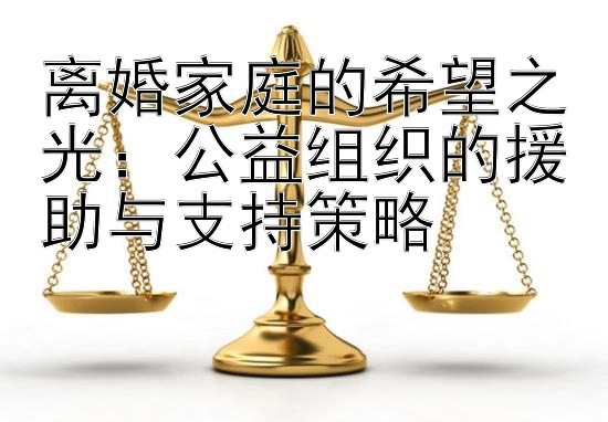 离婚家庭的希望之光：公益组织的援助与支持策略