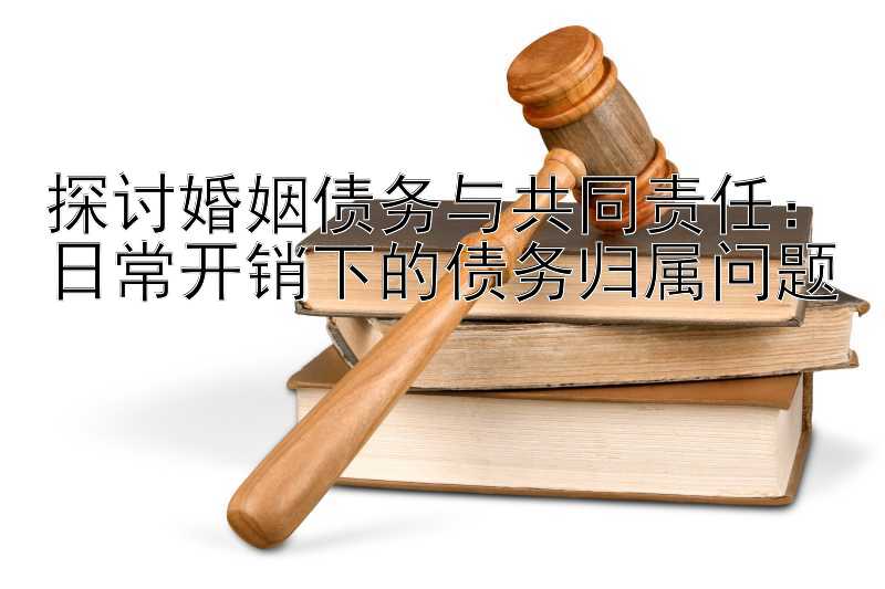 探讨婚姻债务与共同责任：日常开销下的债务归属问题