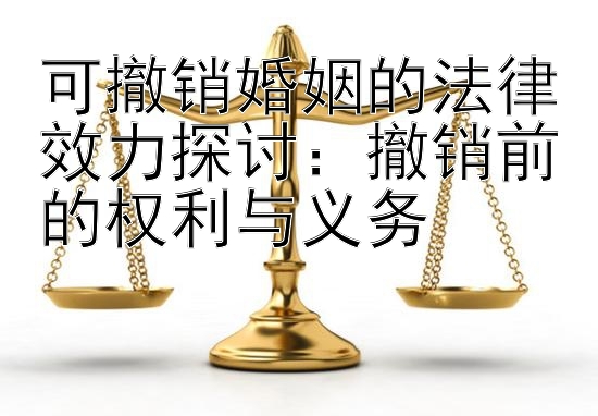 可撤销婚姻的法律效力探讨：撤销前的权利与义务