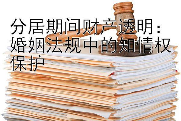 分居期间财产透明：婚姻法规中的知情权保护