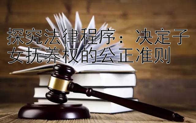 探究法律程序：决定子女抚养权的公正准则