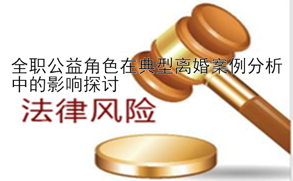 全职公益角色在典型离婚案例分析中的影响探讨