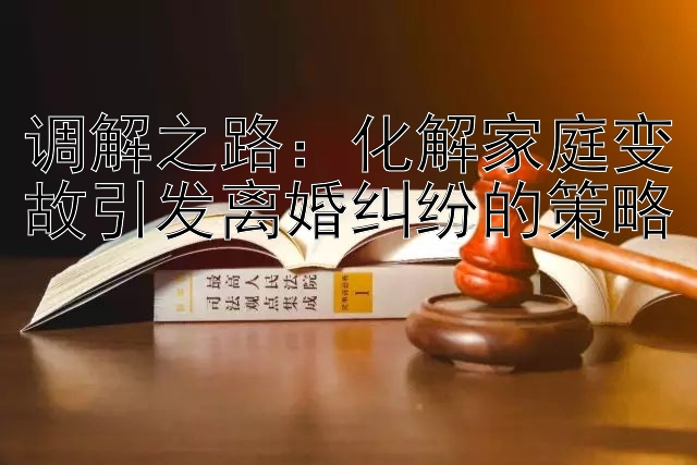 调解之路：化解家庭变故引发离婚纠纷的策略