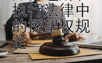 如何理解和执行法律中的探望权规定