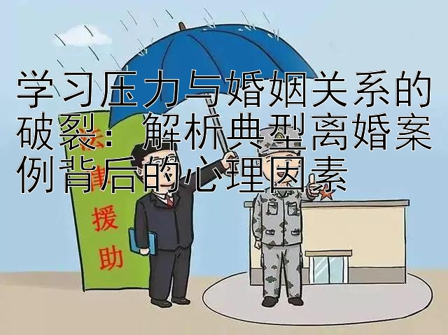 学习压力与婚姻关系的破裂：解析典型离婚案例背后的心理因素