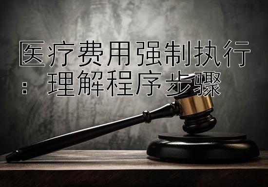 医疗费用强制执行：理解程序步骤