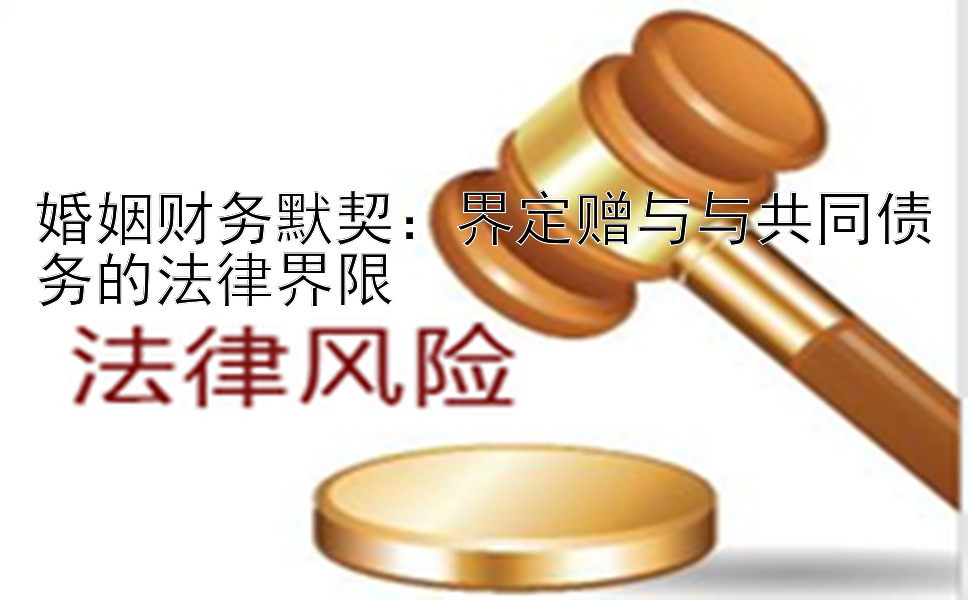 婚姻财务默契：界定赠与与共同债务的法律界限