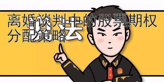 离婚谈判中的股票期权分配策略