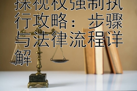 探视权强制执行攻略：步骤与法律流程详解