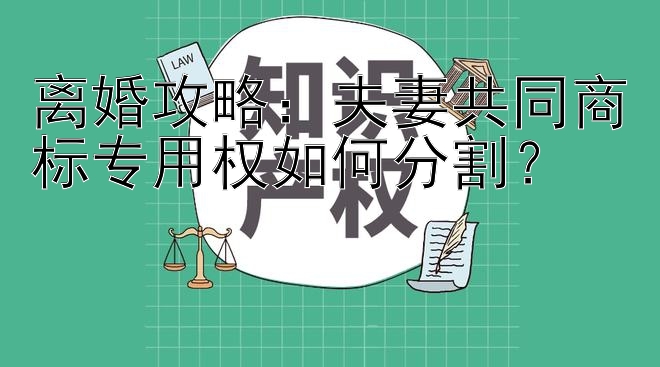 离婚攻略：夫妻共同商标专用权如何分割？