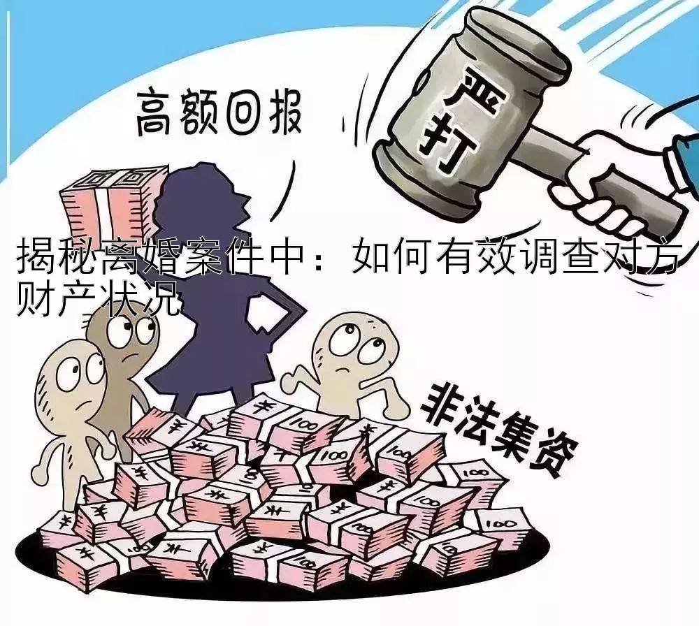 揭秘离婚案件中：如何有效调查对方财产状况